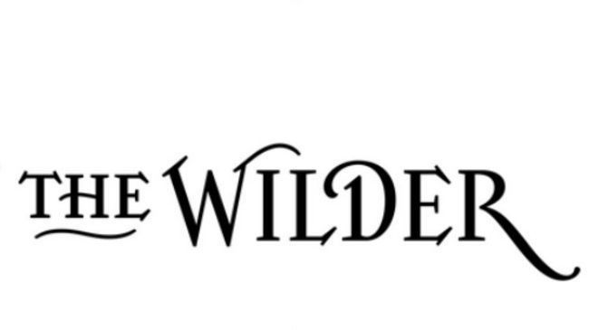 The Wilder Hotel Dublín